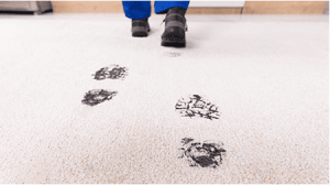 How to Disinfect Carpet in Your Facility